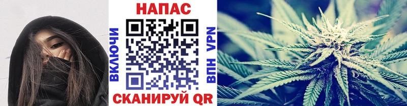 Каннабис сатива  Зерноград 